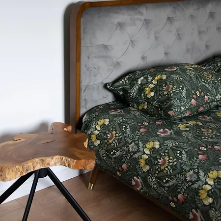 W Centrum Wieliczki شقة